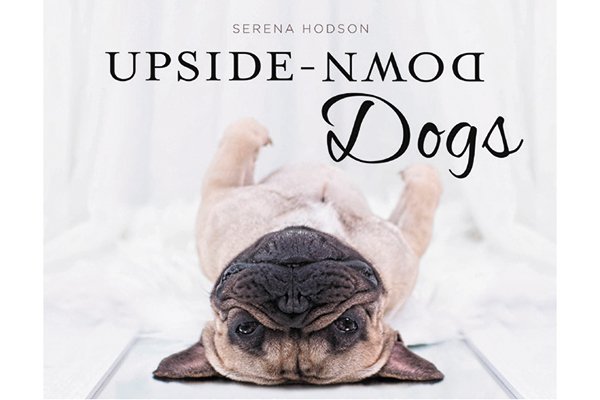 5 Dog Books to Gift This Holiday Season 1514019190 783 5 dog books to gift this holiday season - 5 Dog Books to Gift This Holiday Season