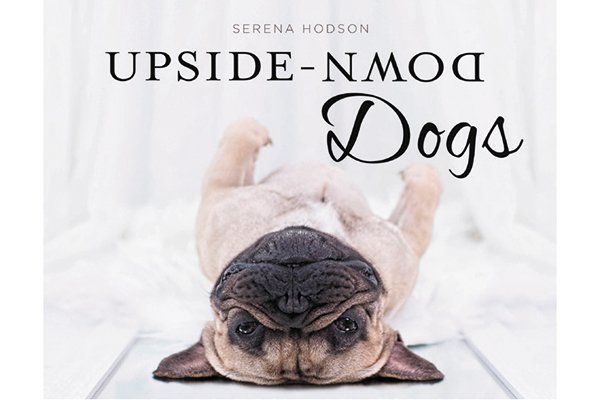 Upside-Down Dogs 