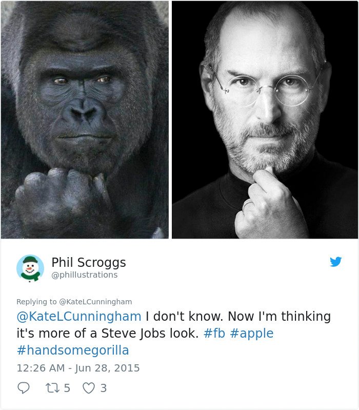 1514403496 752 people are comparing this ridiculously photogenic gorilla to george clooney and we cant handle it - People Are Comparing This Ridiculously Photogenic Gorilla To George Clooney And We Can’t Handle It