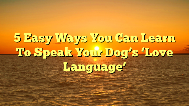5 Easy Ways You Can Learn To Speak Your Dog’s ‘Love Language’