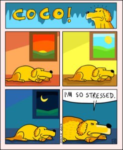 coco the dog ozan draws comics 4 5a38c8aa8b8a5 png  700 247x300 - 17 Hilariously Pessimistic Comics About Coco The Jolly Dog That Every Pessimist Will Relate To