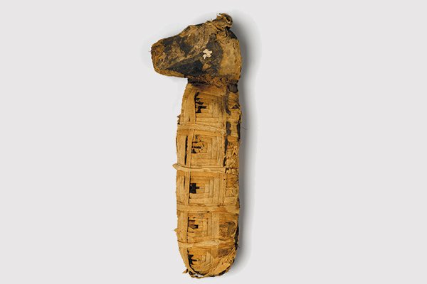 Dog Mummy. Brooklyn Museum; Charles Edwin Wilbour Fund. 