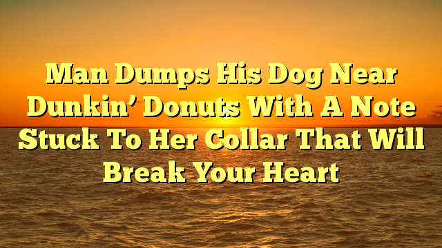 Man Dumps His Dog Near Dunkin’ Donuts With A Note Stuck To Her Collar That Will Break Your Heart
