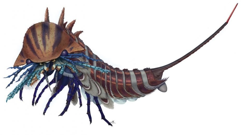 this tiny sea monster had creepy mouth appendages - This tiny sea monster had creepy mouth appendages