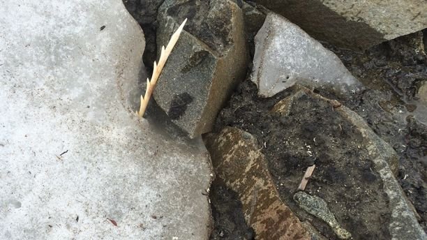 1518565500 160 incredible 900 year old copper arrowhead discovered on canadian mountain - 'Incredible' 900-year-old copper arrowhead discovered on Canadian mountain