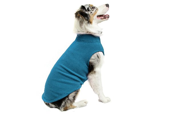 1518979248 669 11 different types of dog coats and jackets - 11 Different Types of Dog Coats and Jackets