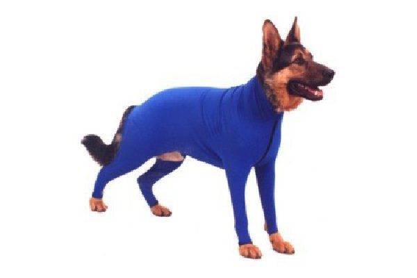 1518979249 479 11 different types of dog coats and jackets - 11 Different Types of Dog Coats and Jackets