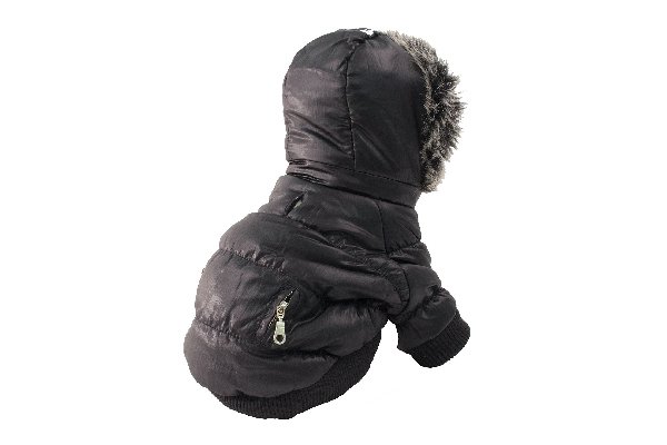 11 Different Types of Dog Coats and Jackets 1518979249 659 11 different types of dog coats and jackets - 11 Different Types of Dog Coats and Jackets