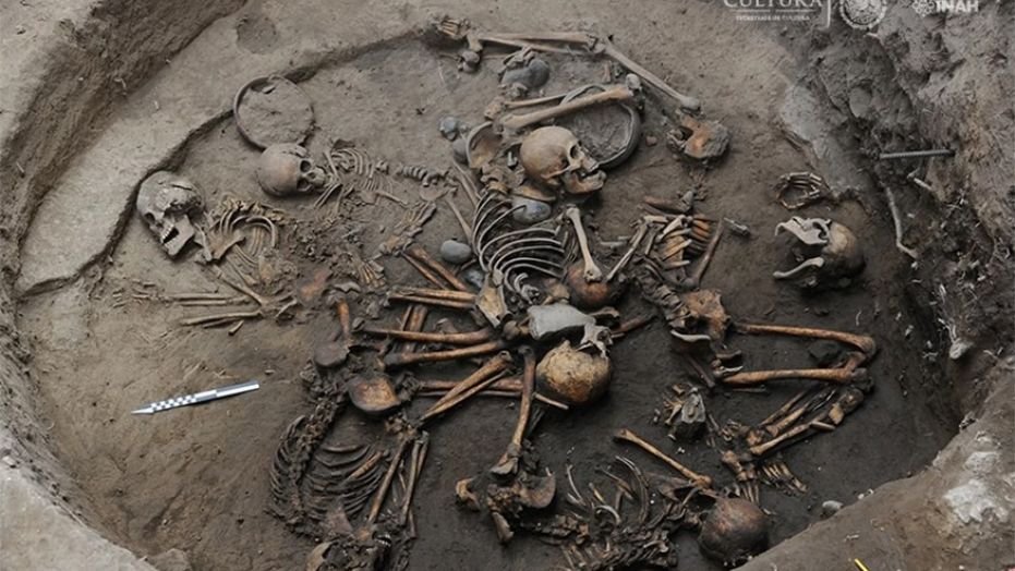 Archaeologists in Mexico City have discovered the burial of 10 skeletons arranged in a spiral, with two of the skeletons showing intentional skull deformation. Credit: INAH