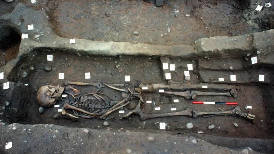 A Viking skeleton from a grave at Repton, Derbyshire, in England. (Credit: Copyright Martin Biddle)