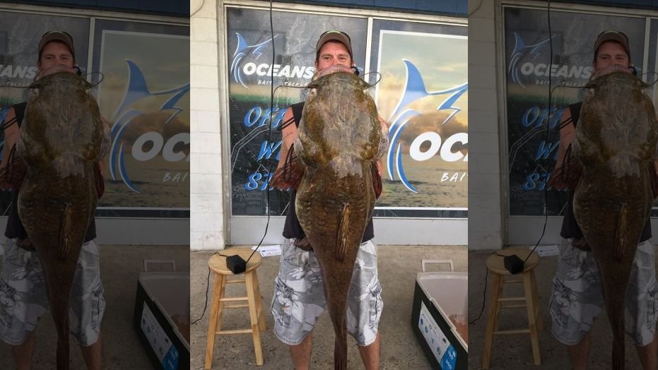 Virginia resident Jeffrey Dill reeled in a record-breaking flathead catfish out of Lake Smith in Virginia Beach.