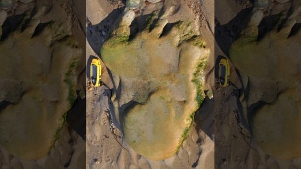 1535150123 716 stunning dinosaur discovery 170 million year old footprint found in scotland - Stunning dinosaur discovery: 170-million-year-old footprint found in Scotland