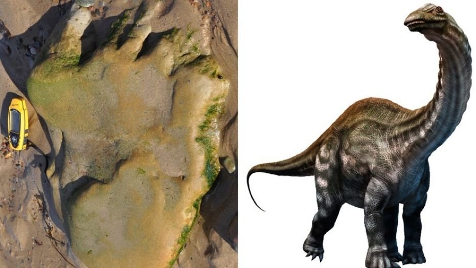stunning dinosaur discovery 170 million year old footprint found in scotland - Stunning dinosaur discovery: 170-million-year-old footprint found in Scotland