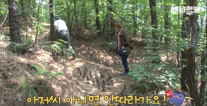 South Korean man and another person with ducklings