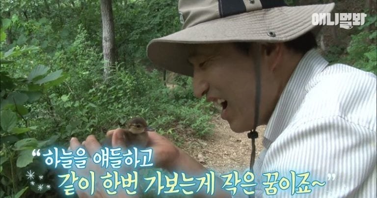 South Korean man with ducklings