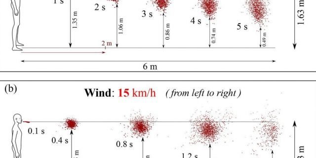 Wind shown blowing left to right at speeds of 4 kph (top) and 15 kph (bottom) can transport saliva droplets up to 19 feet.