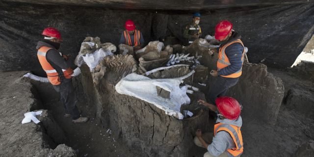 mammoth central found at mexico airport construction site - 'Mammoth central' found at Mexico airport construction site