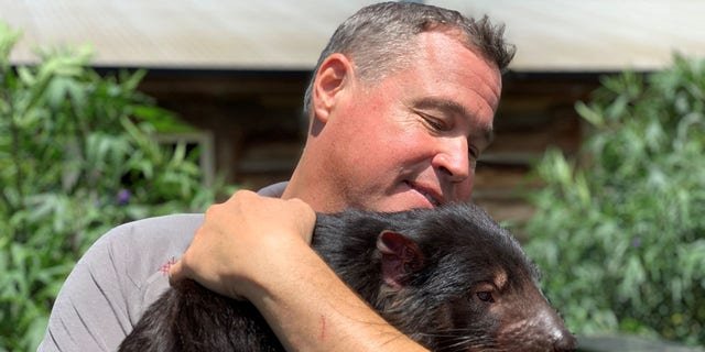 Biologist and wildlife conservationist Jeff Corwin holds a Tasmanian Devil at the Trowunna Wildlife Sanctuary in Tasmania.