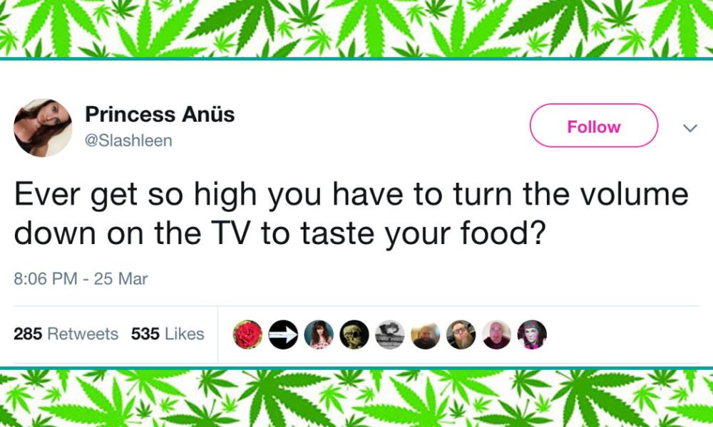 21 Funny High Tweets From People Who Smoke Too Much 1000x600 - 21 Funny High Tweets From People Who Smoke Too Much Weed