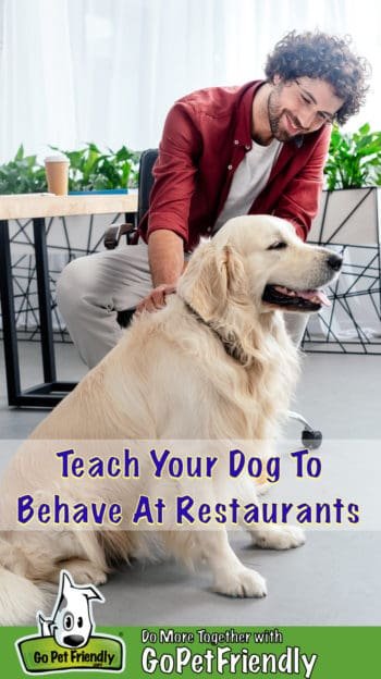 Behave at Restaurants 350x624 - Training Your Dog To Behave At Pet Friendly Restaurants