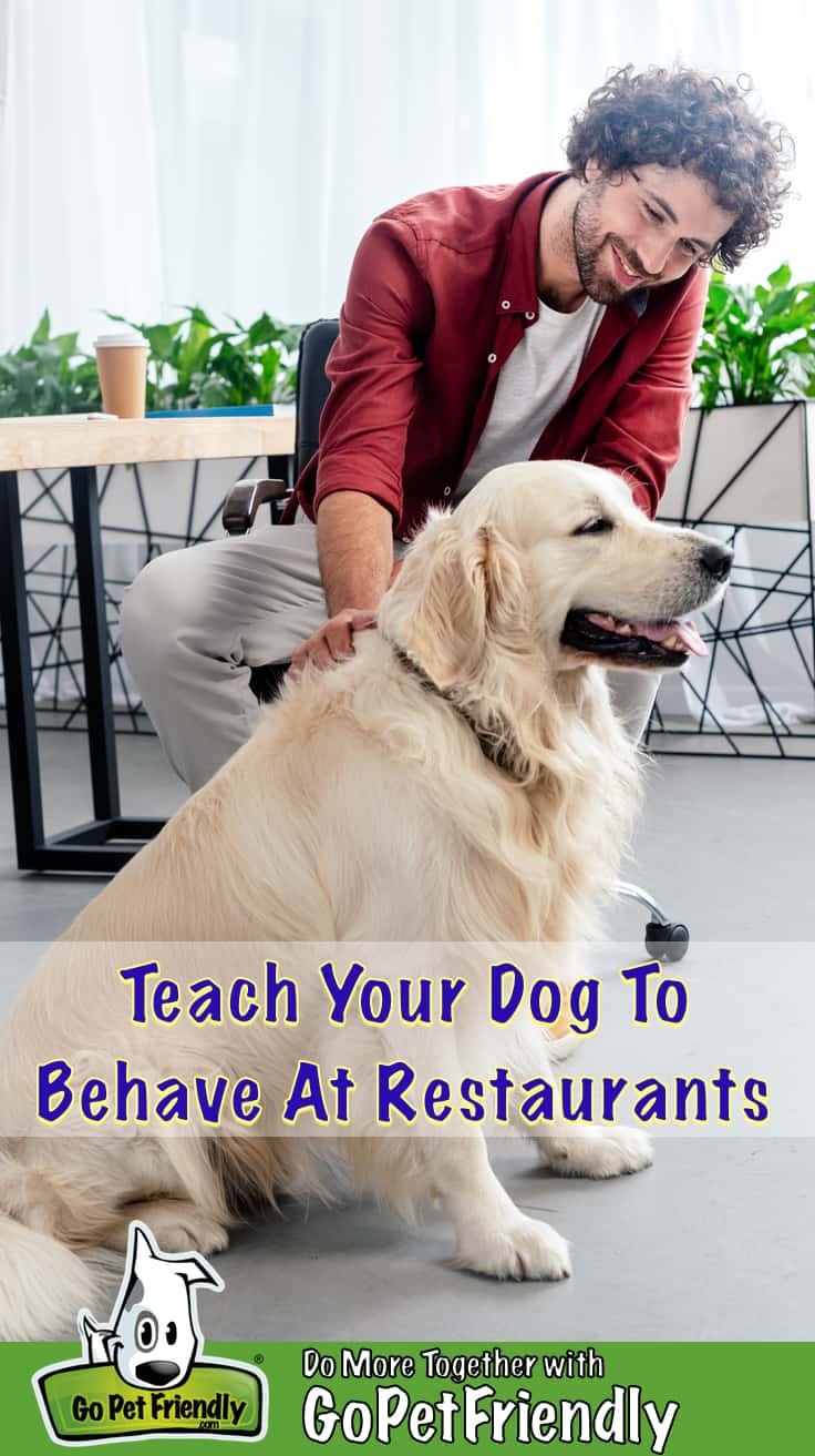 Behave at Restaurants - Training Your Dog To Behave At Pet Friendly Restaurants