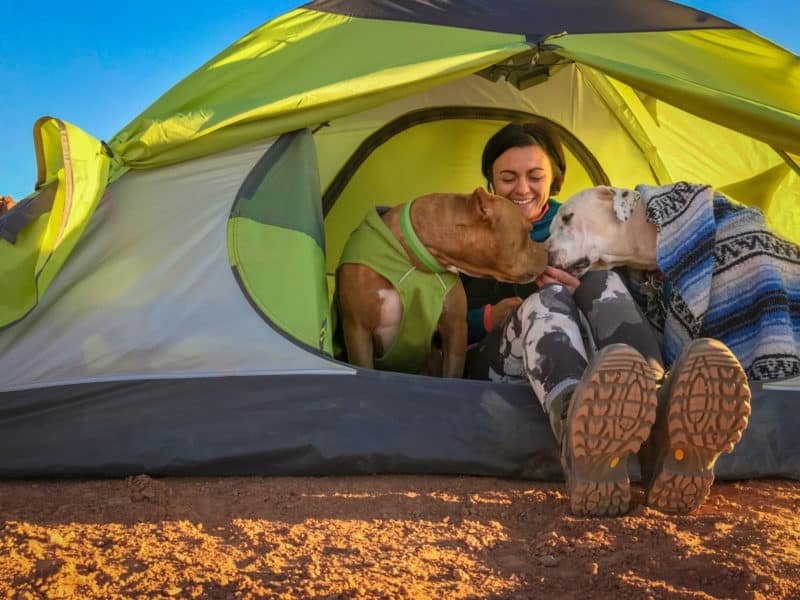 Camping With Dogs GoPetFriendly 5 e1562637553276 - Traveling With A Reactive Dog