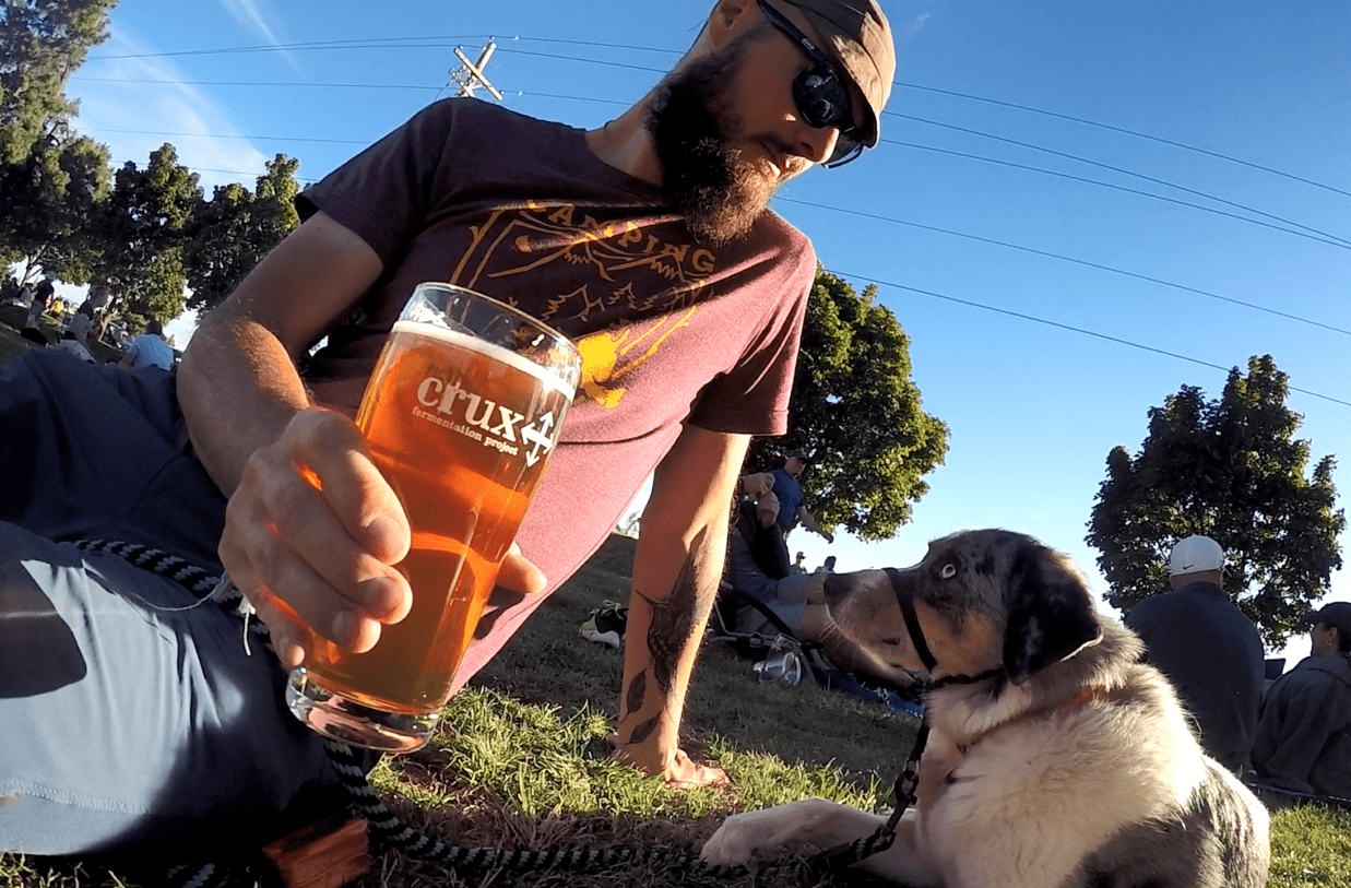 Crux Fermentation Project e1543513282270 - Training Your Dog To Behave At Pet Friendly Restaurants