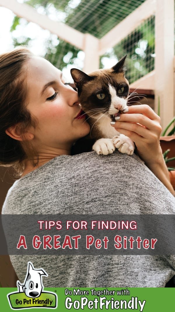 Woman snuggling calico cat in a sunroom