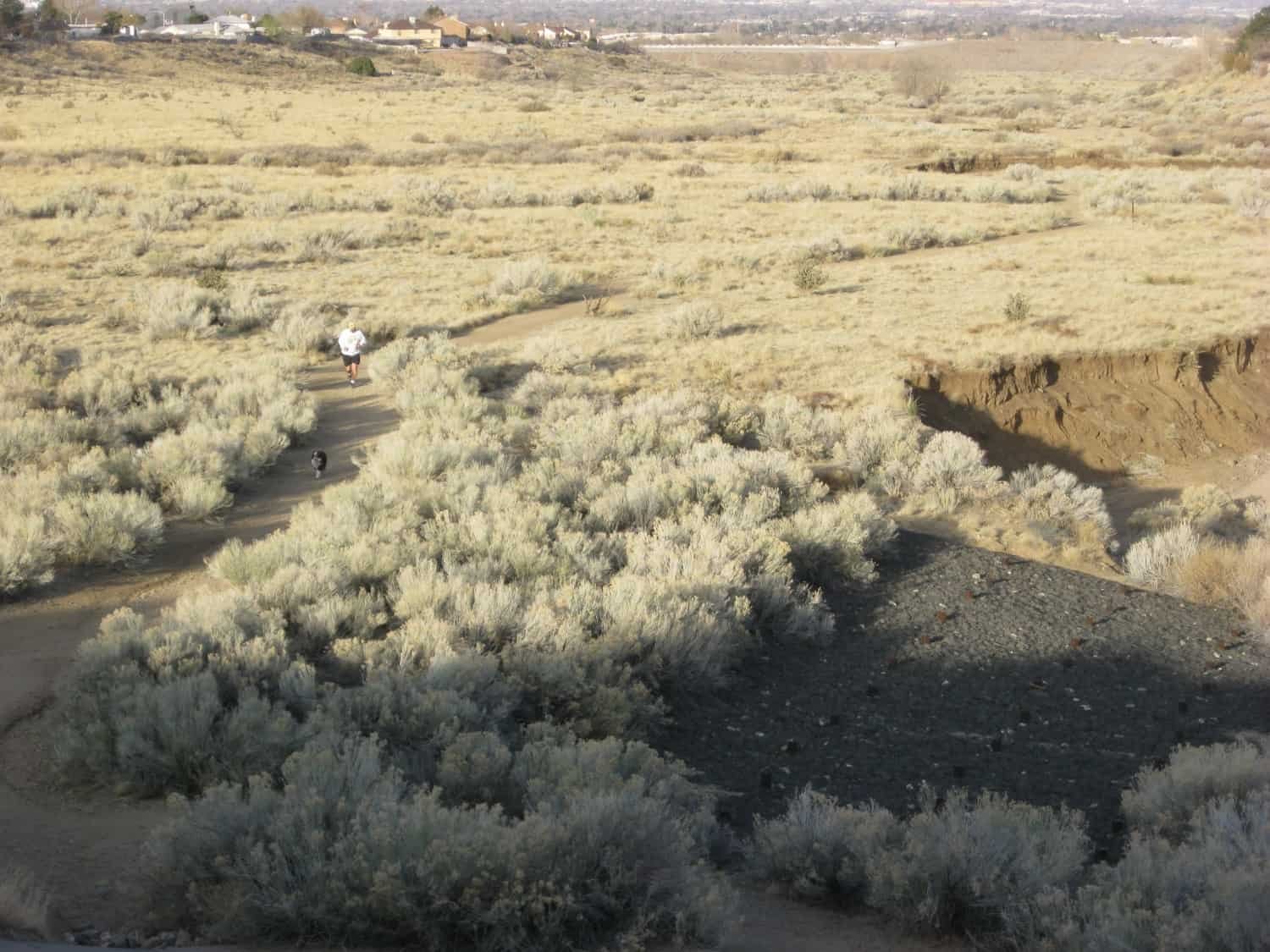 Woman walking a dog on a trail through an arroyo in Albuquerque, NM