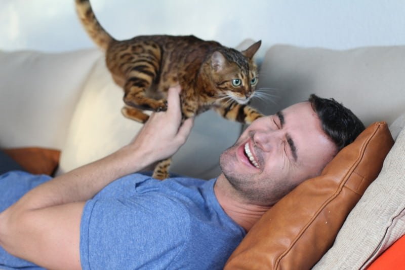 Man laying on a sofa playing with striped cat