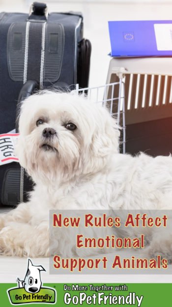 New Rules for ESAs 350x624 - New Rules For Flying With Emotional Support Animals
