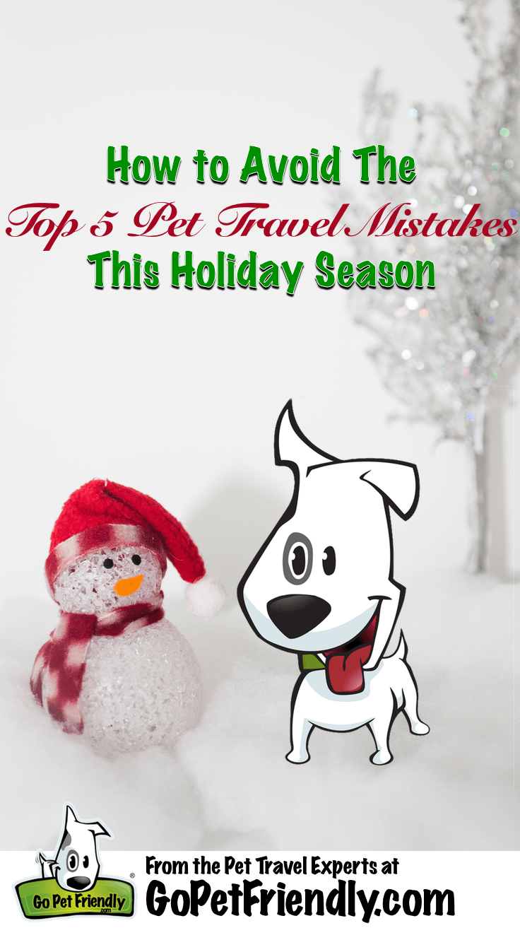 Pet Travel Mistakes - How to Avoid the Top 5 Holiday Pet Travel Mistakes