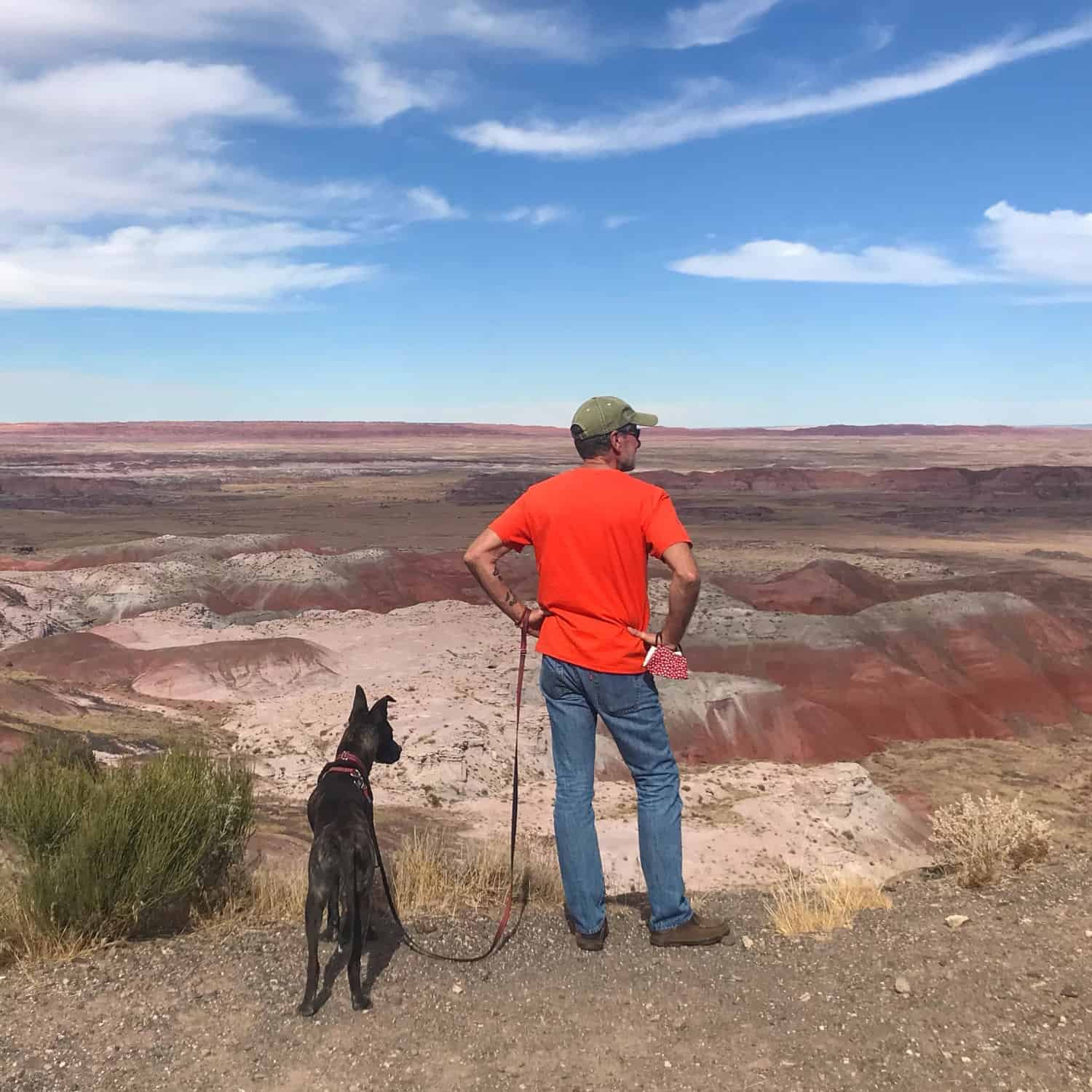 PetrifiedForest - National Park Free Admission Days In 2022