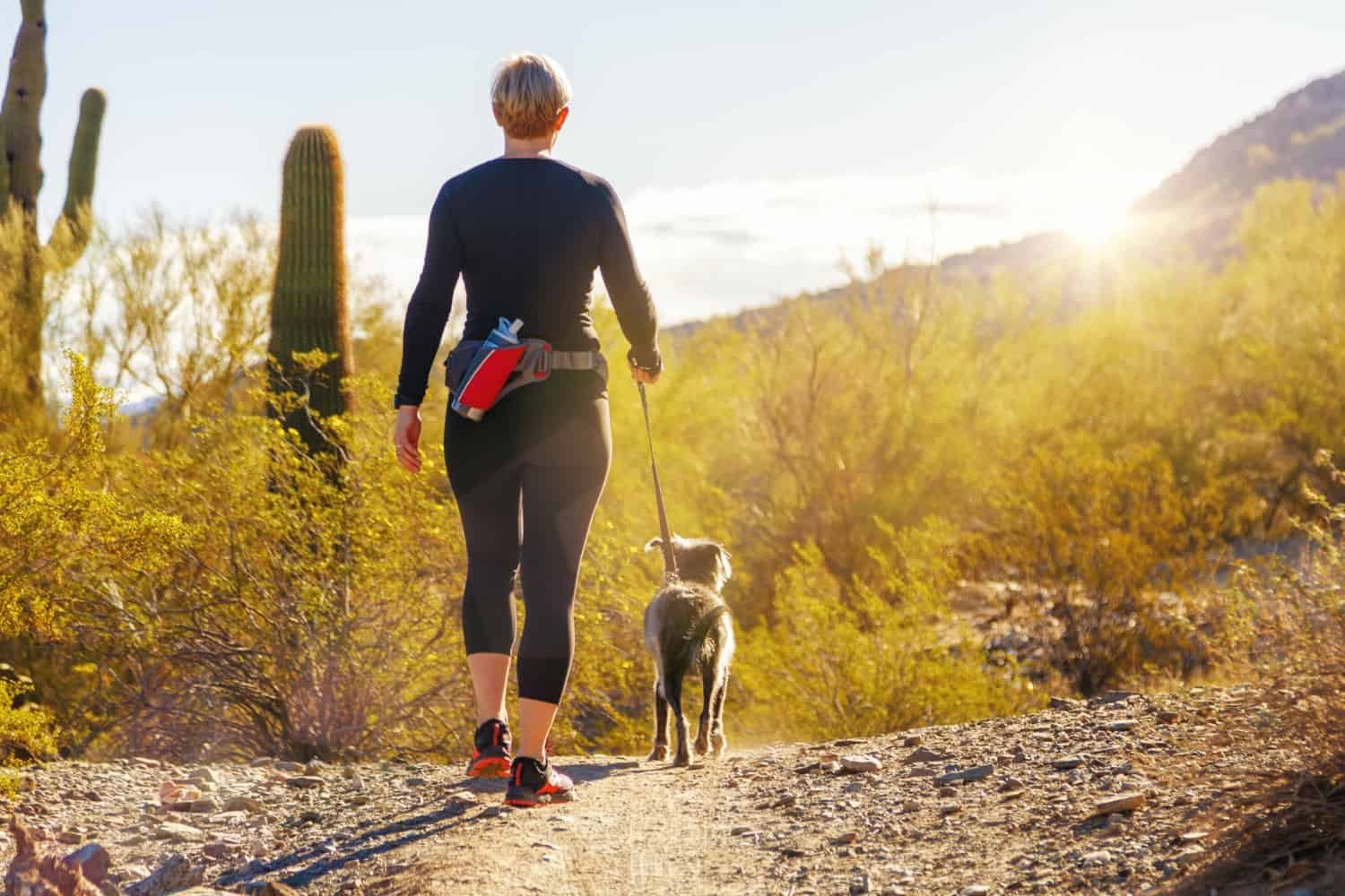 Woman and Dog in Desert - Tips For Finding A Great Pet Sitter
