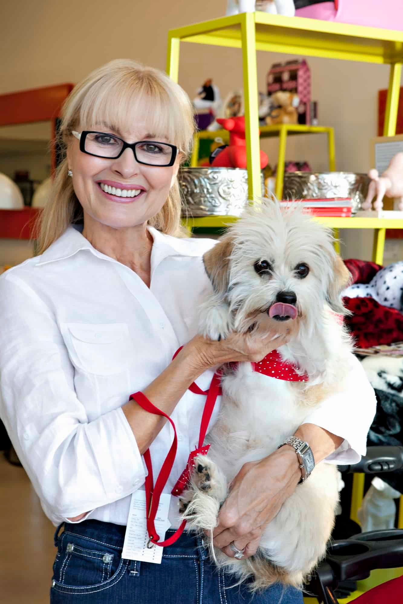 Woman and Dog in Pet Supply Store - Barking Dogs In Hotel Rooms: Tips For A Quiet Stay