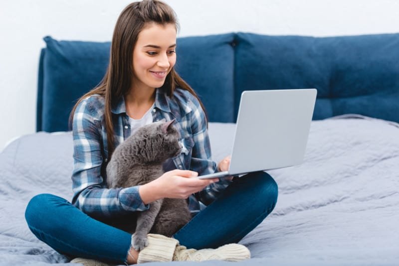 Woman sitting on a bed in a pet friendly hotel looking at a computer with a cat on her lap