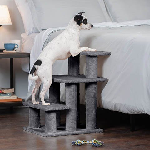 dog using FurHaven Steady Paws Cat & Dog Stairs