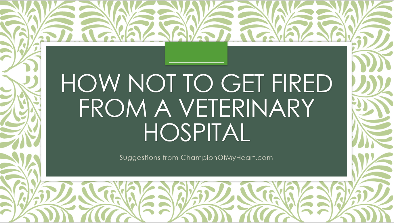 How Not to Get Fired as a Veterinary Client