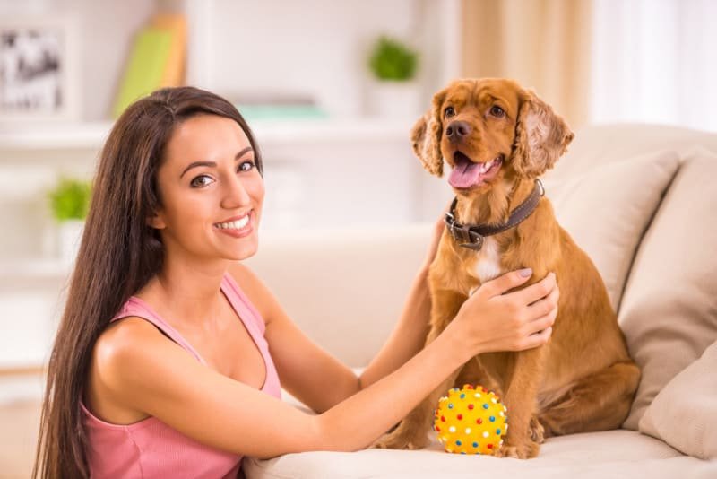 Woman With Cocker Spaniel Puppy with Ball - Three Important Steps To Prepare For Your Pet Sitter