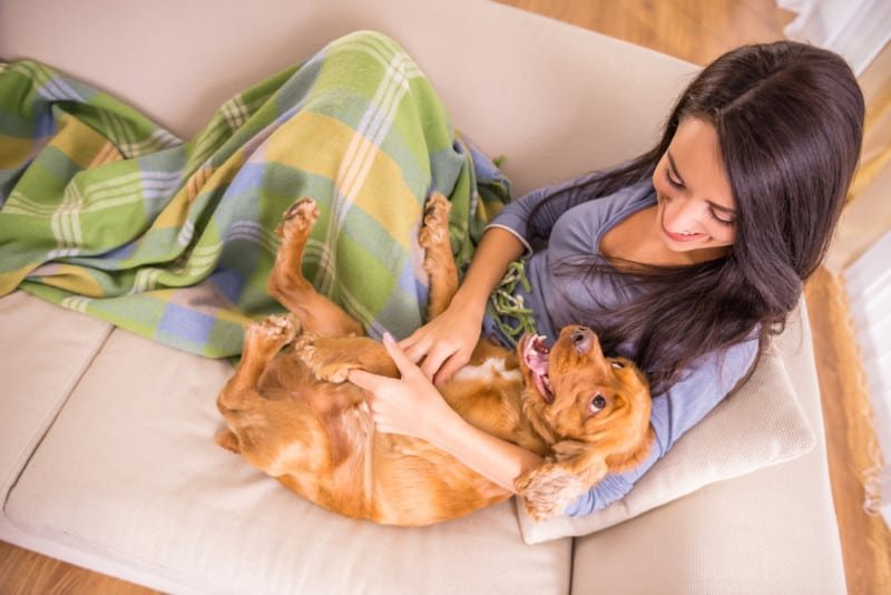 Woman pet sitter and dog snuggling on sofa