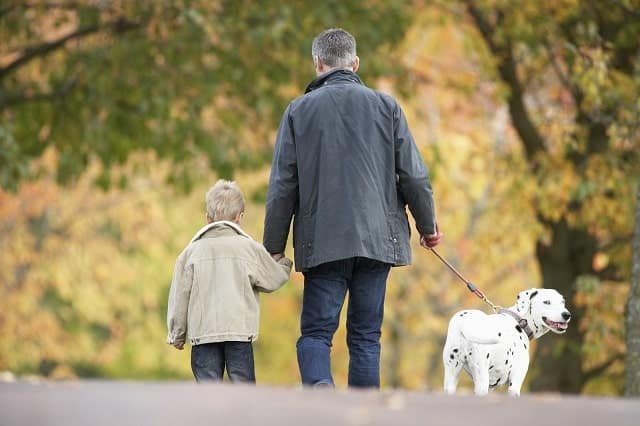 4019496 man with young son walking dog through autumn park min - How to Make Your Dog Happy, According to a Veterinarian