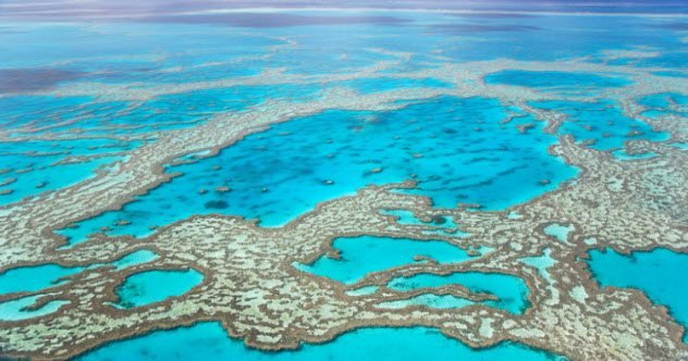 Top 10 Fresh Facts About The Great Barrier Reef