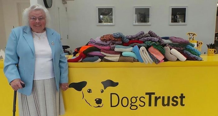 89 year old woman has knitted 450 blankets for shelter dogs and its adorable - 89-Year-Old Woman Has Knitted 450 Blankets For Shelter Dogs, And It’s Adorable