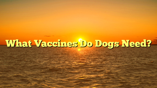 What Vaccines Do Dogs Need?